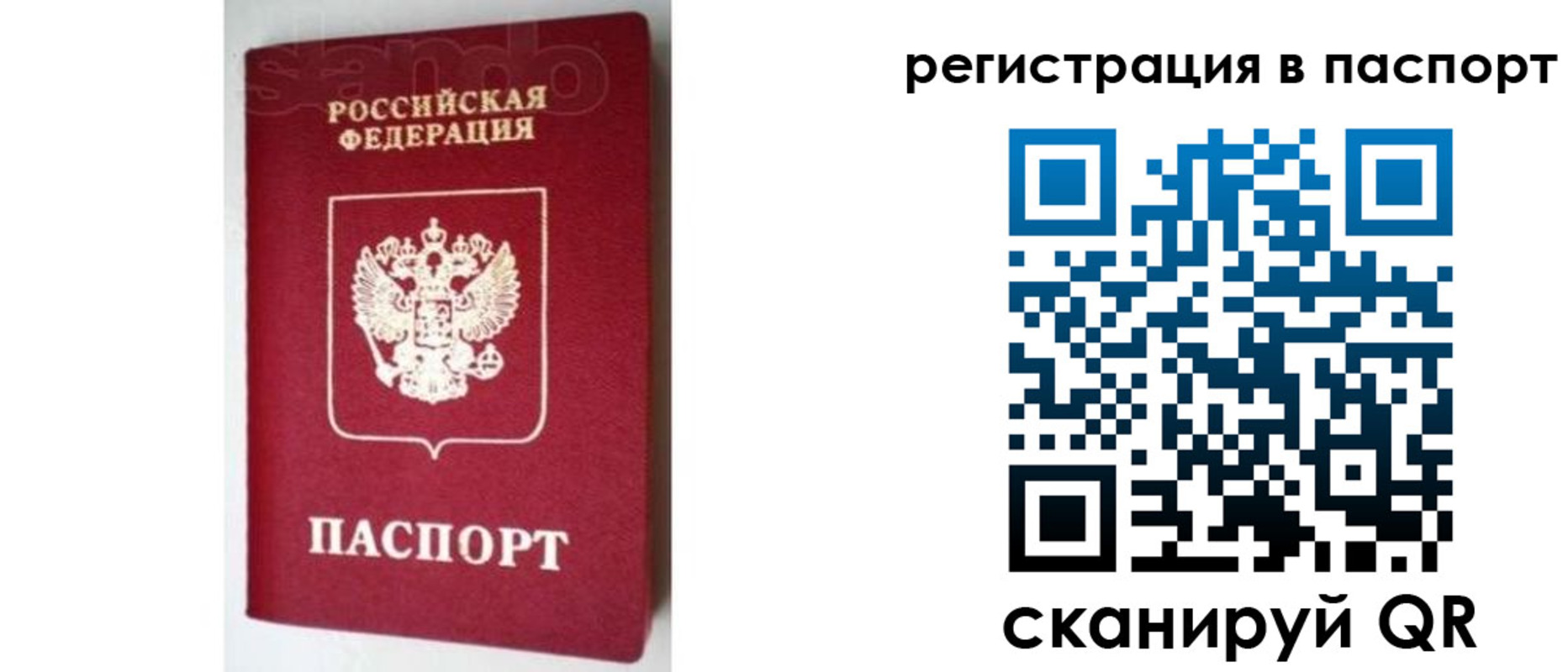 прописка для школы в Брянске